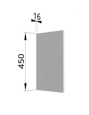 Панель торцевая (для шкафа горизонтального высокого) ВПГ Ройс (Графит софт) в Прокудском - prokudskoe.mebel54.com | фото