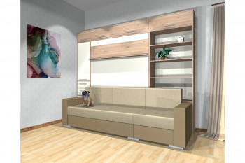 Шкаф-кровать с диваном Каролина в Прокудском - prokudskoe.mebel54.com | фото